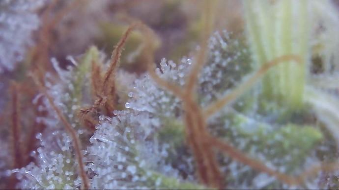Growreport Bild 20