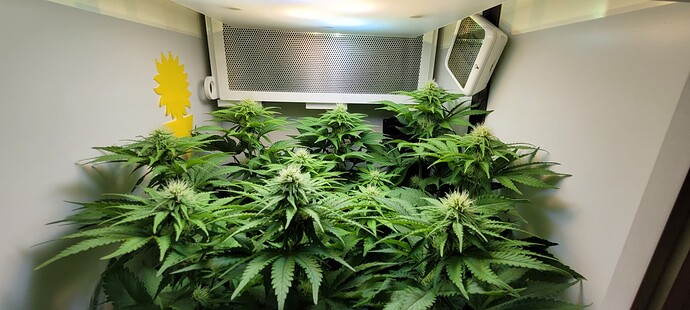 Growreport Bild 5