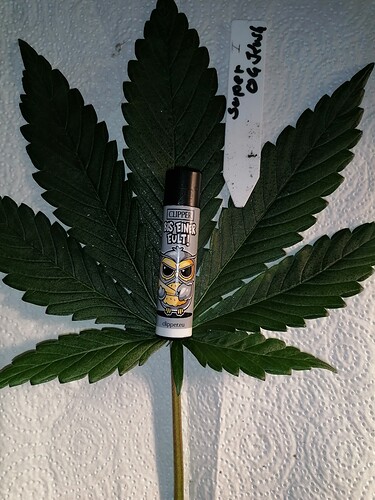 Growreport Bild 11