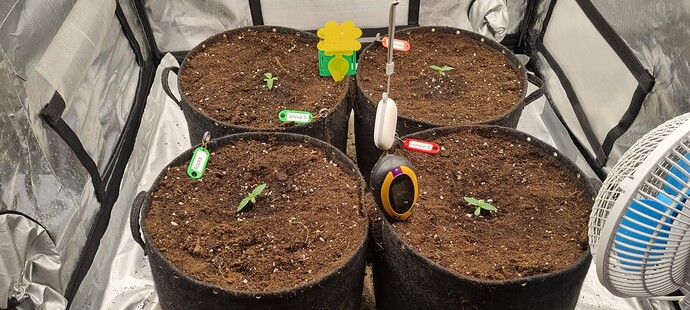 Growreport Bild 4
