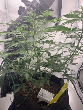 Growreport Bild 16