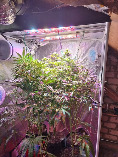 Growreport Bild 10