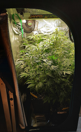 Growreport Bild 8