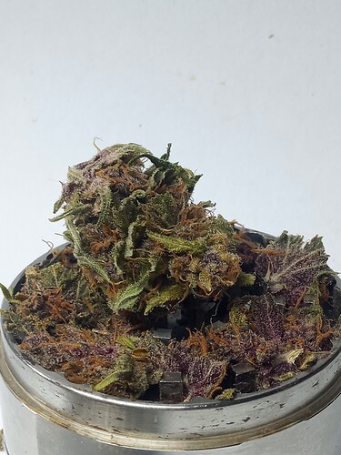 Growreport Bild 12