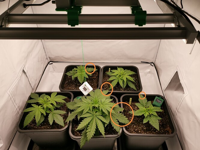 Growreport Bild 27