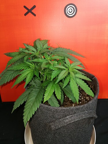 Growreport Bild 23