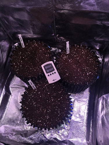 IMG_20201030_162535 - Kopie