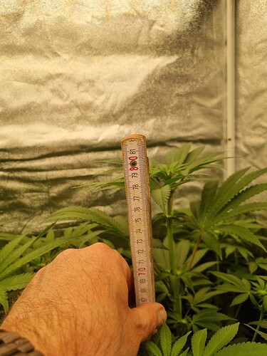 Growreport Bild 6