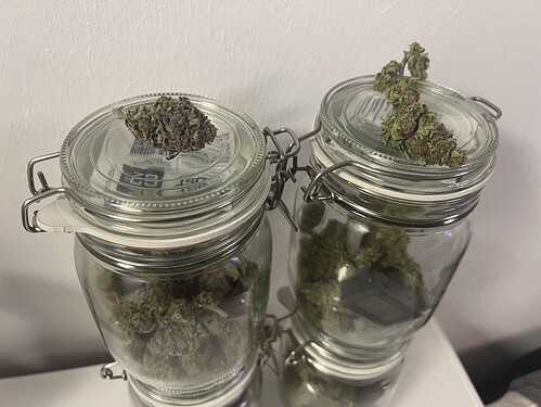 Growreport Bild 2
