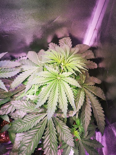 Growreport Bild 14