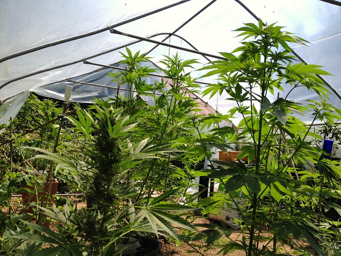 070_SiebterSiebter_20