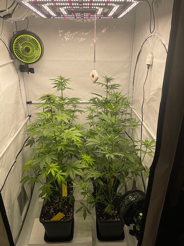 Growreport Bild 1