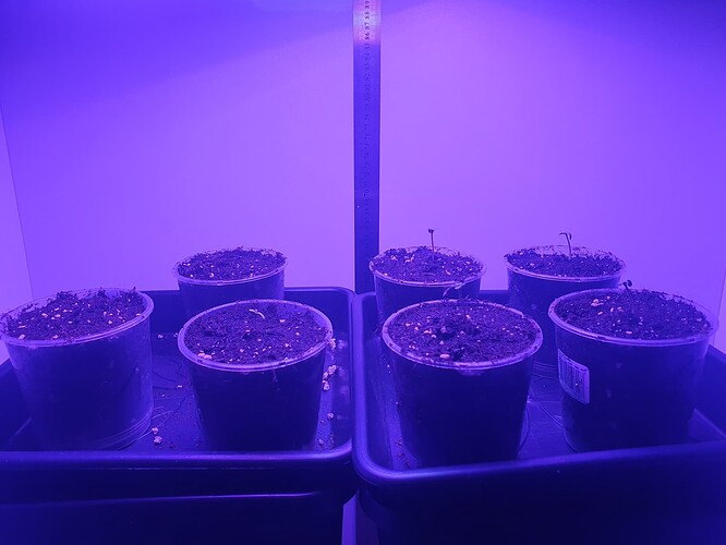 20231015_094823 - Kopie