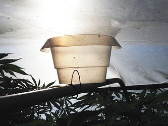 Growreport Bild 15