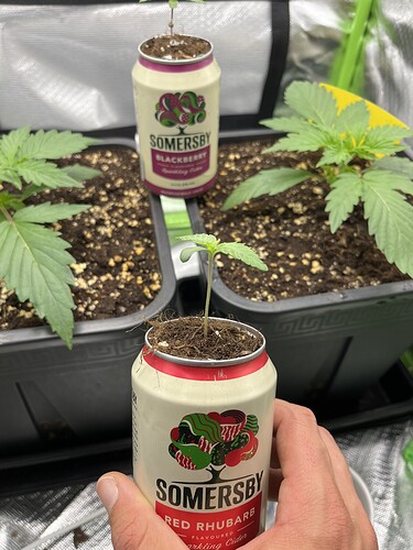 Growreport Bild 8