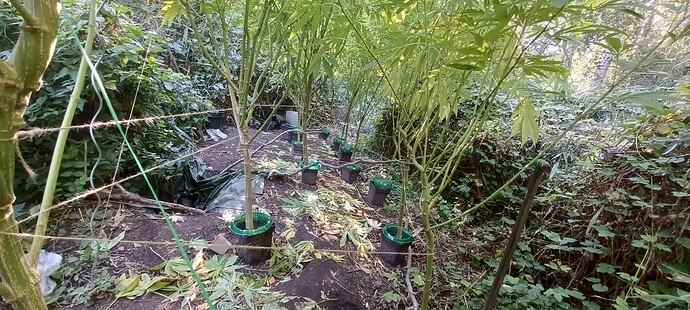 Growreport Bild 14