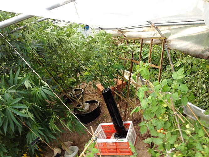 Growreport Bild 13