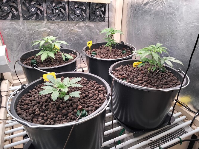 Growreport Bild 4