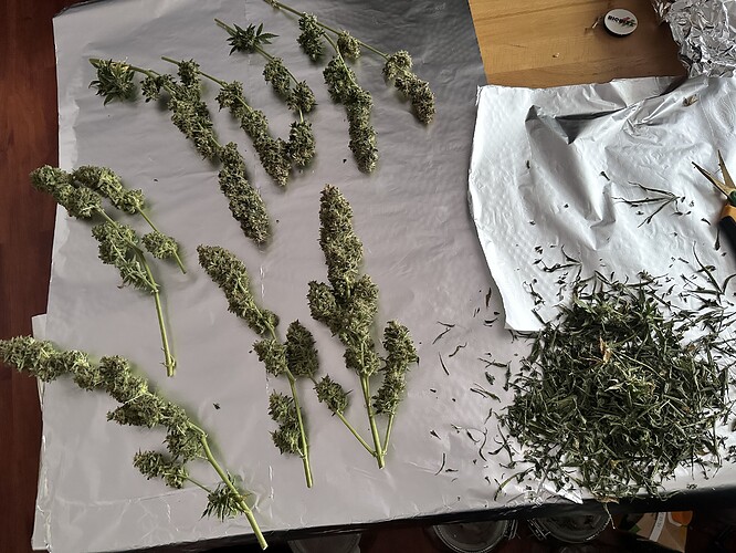 Growreport Bild 1
