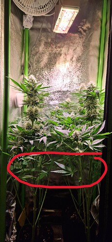 eb30628ff150bc011f527acc9d0006b08f3f2304