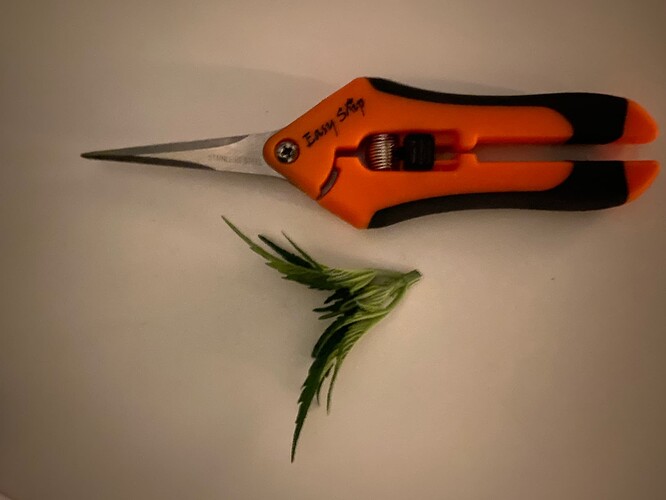 Growreport Bild 2