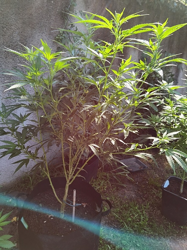 Growreport Bild 14