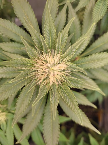 Growreport Bild 6