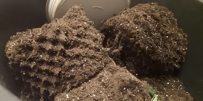 Growreport Bild 3
