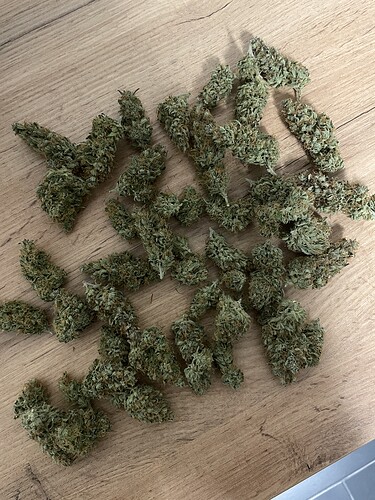 Growreport Bild 3