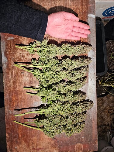Growreport Bild 14