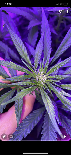 Growreport Bild 5