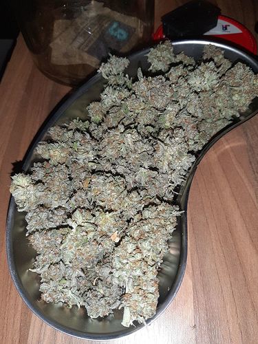 Growreport Bild 8