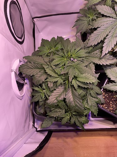 Growreport Bild 14