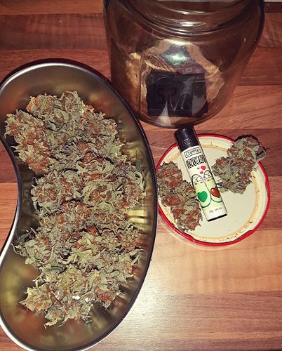 Growreport Bild 7