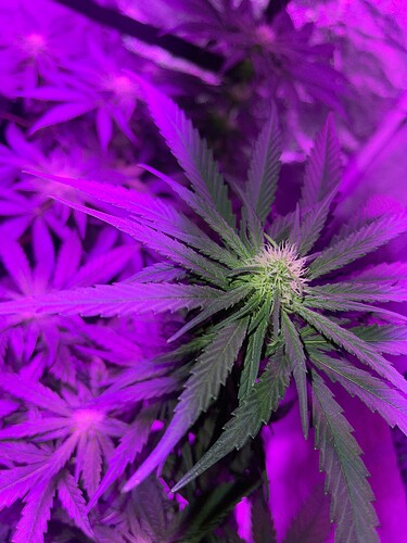 Growreport Bild 12