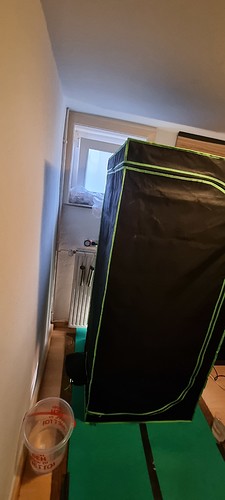 Growreport Bild 4