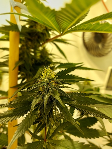 Growreport Bild 13