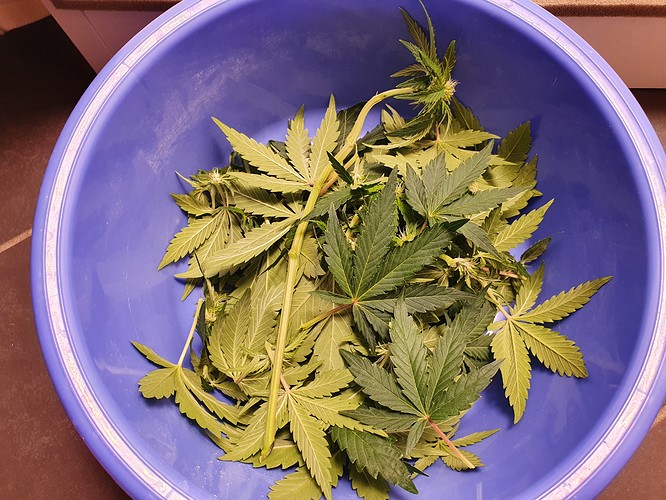 Growreport Bild 6