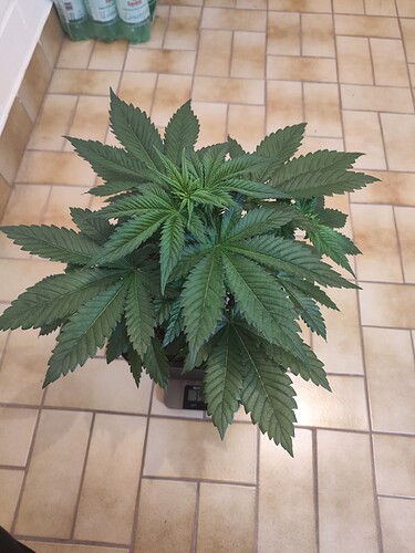 Growreport Bild 10