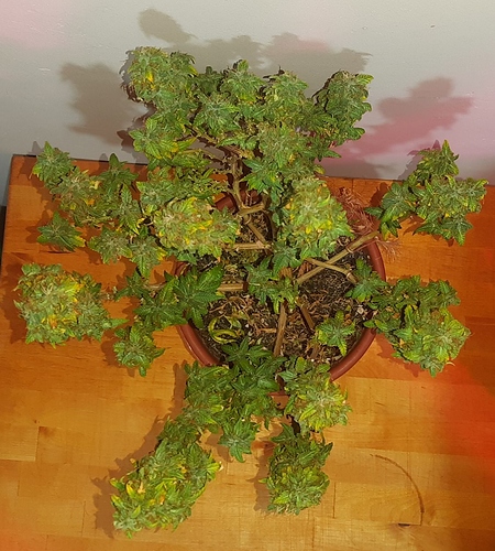 Growreport Bild 3