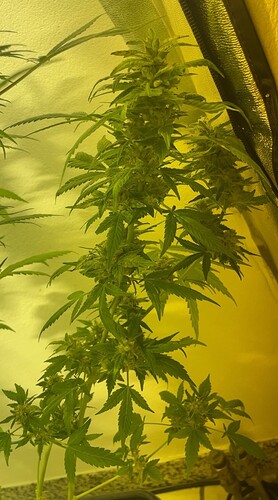 Growreport Bild 12
