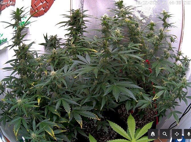 Growreport Bild 10