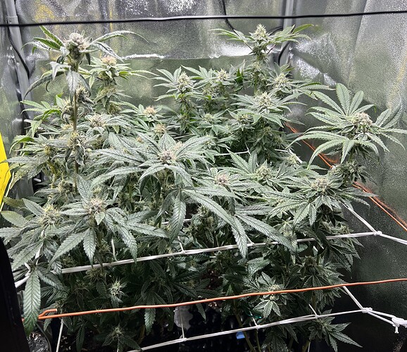 Growreport Bild 24
