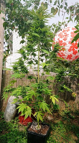 Growreport Bild 7
