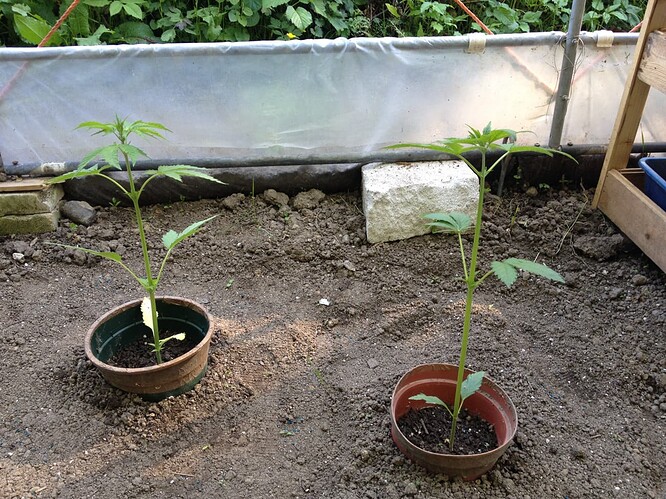 Growreport Bild 11
