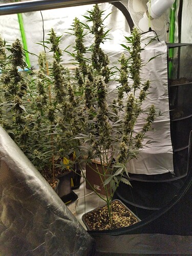 Growreport Bild 16