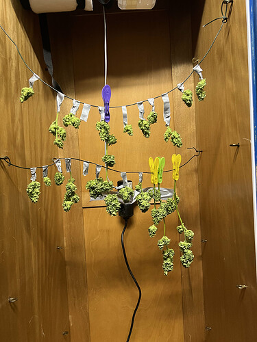Growreport Bild 20