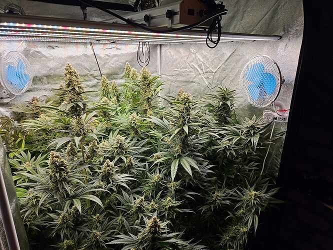 Growreport Bild 23