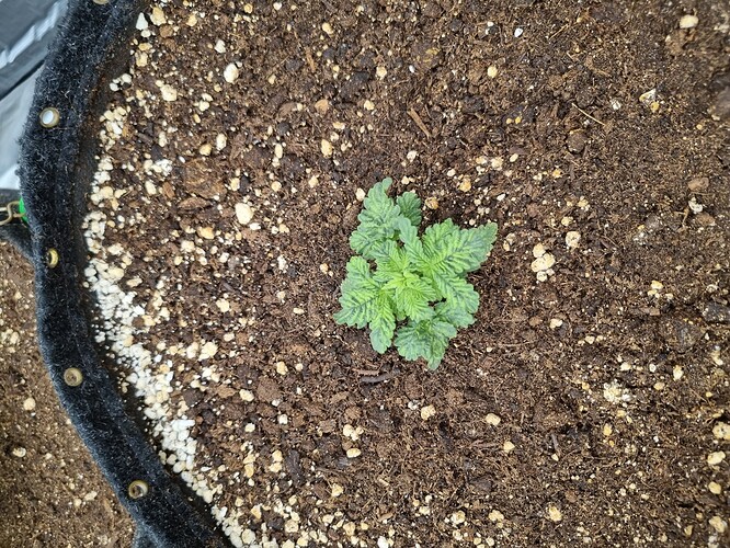 Growreport Bild 14