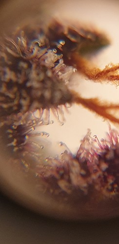 Growreport Bild 10